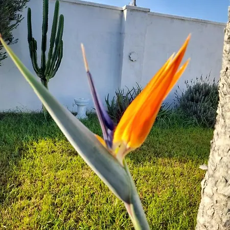 Rurales Inma בית נופש