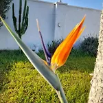 Rurales Inma Tatil Evi