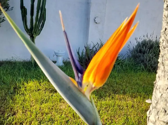 Rurales Inma Semesterbostad